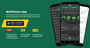 Experience Sports Betting with Betwinner