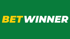 Discover BetWinner CI Bonuses Maximize Your Betting Experience