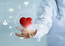 Všetko, čo potrebujete vedieť o Sarelta Všetko, čo potrebujete vedieť o Sarelta